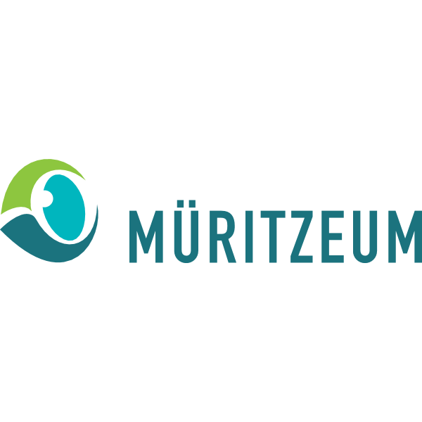 Müritzeum Logo