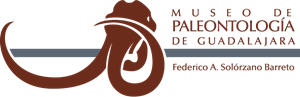 Museo de Paleontología Federico Solórzano Logo ,Logo , icon , SVG Museo de Paleontología Federico Solórzano Logo