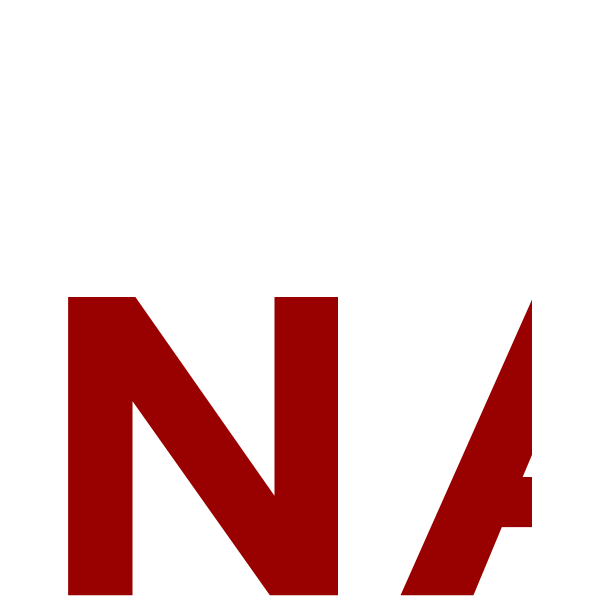 Nam Long Logo