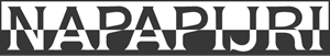 Napapijri Logo Download png