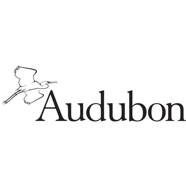 Audubon Download At Iconape