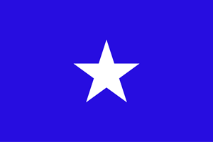 National Party of Honduras Logo ,Logo , icon , SVG National Party of Honduras Logo