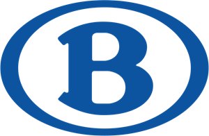 National Railway Company of Belgium Logo ,Logo , icon , SVG National Railway Company of Belgium Logo