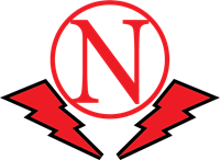 Nazeer Basha – N Logo