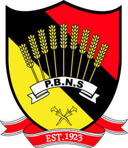 Negeri Sembilan FA 2015- Logo ,Logo , icon , SVG Negeri Sembilan FA 2015- Logo