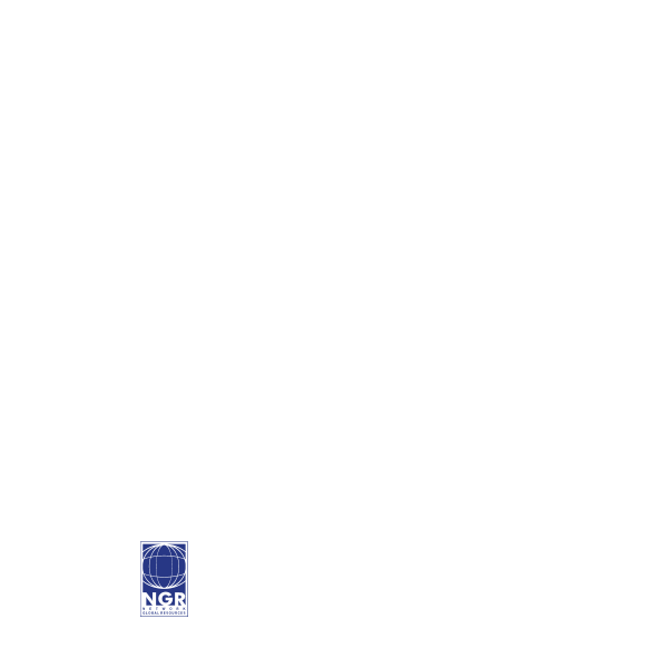 Network Global Resources Logo ,Logo , icon , SVG Network Global Resources Logo