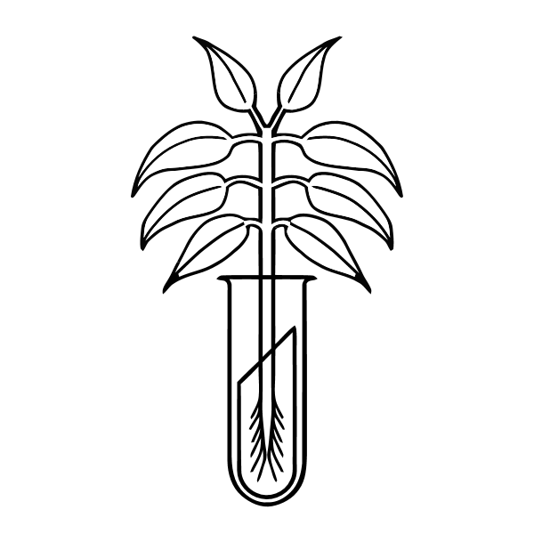 New York Botanics LLC Logo ,Logo , icon , SVG New York Botanics LLC Logo