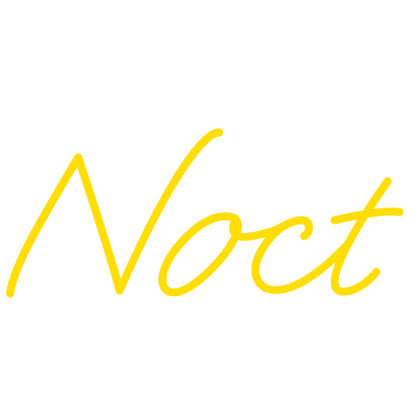 Nikon Noct (logo)