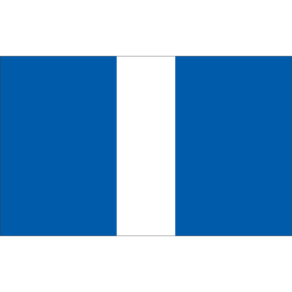NINE SIGNAL NAVY FLAG Logo ,Logo , icon , SVG NINE SIGNAL NAVY FLAG Logo