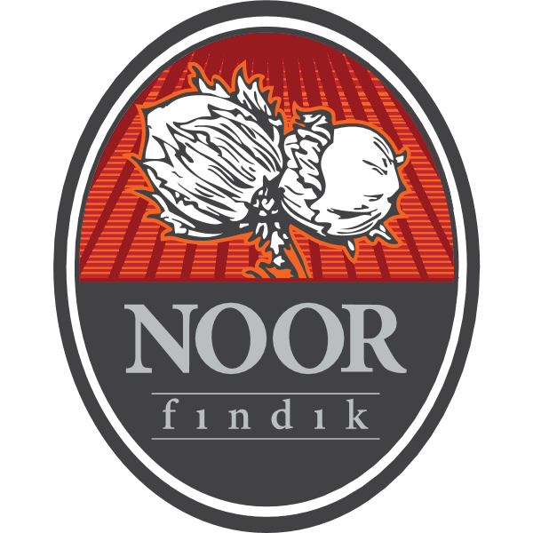 Noor Findik Logo ,Logo , icon , SVG Noor Findik Logo