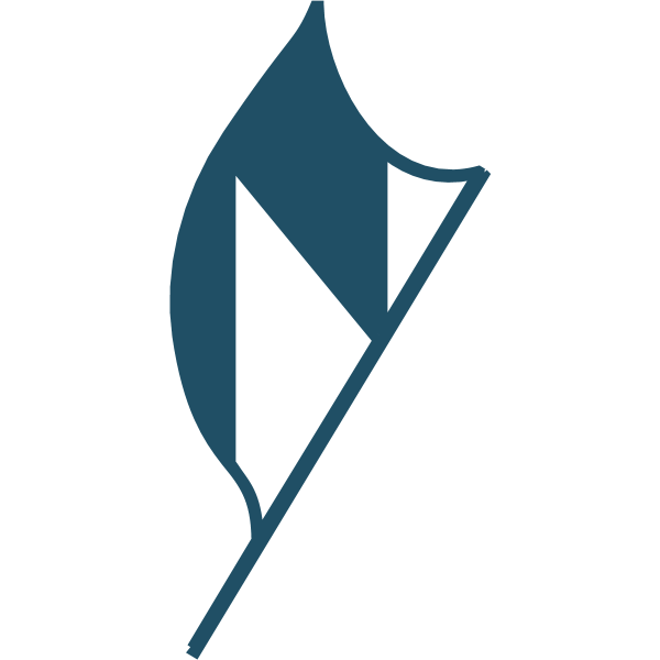 NorthShark Logo