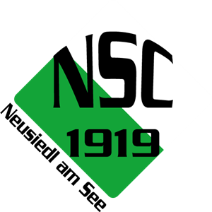 NSC 1919 Logo
