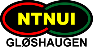 NTNUI Fotball Logo