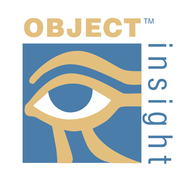 Object Insight