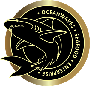 OCEAN WAVE Logo