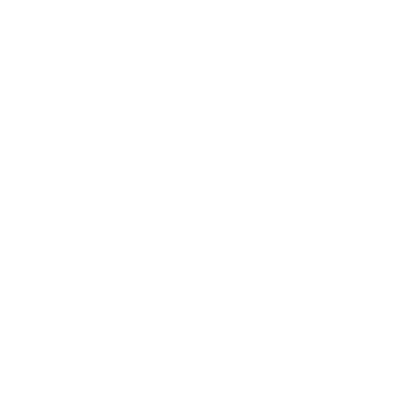 Official City of Spokane Official Logo – One Color – White