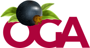 Oga Design Logo ,Logo , icon , SVG Oga Design Logo