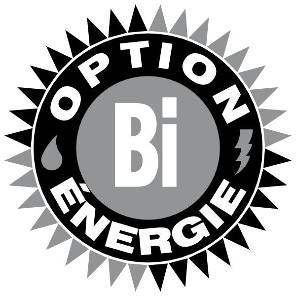 Option Bi energie