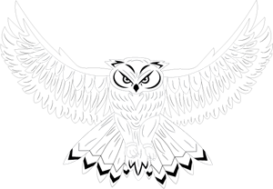Owl Logo ,Logo , icon , SVG Owl Logo