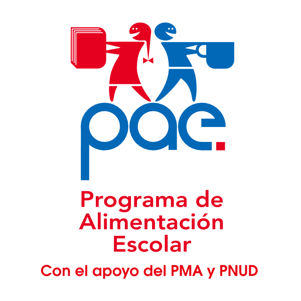 PAE Logo