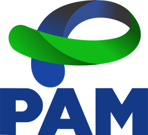 PAM Governo do Paraná Logo ,Logo , icon , SVG PAM Governo do Paraná Logo