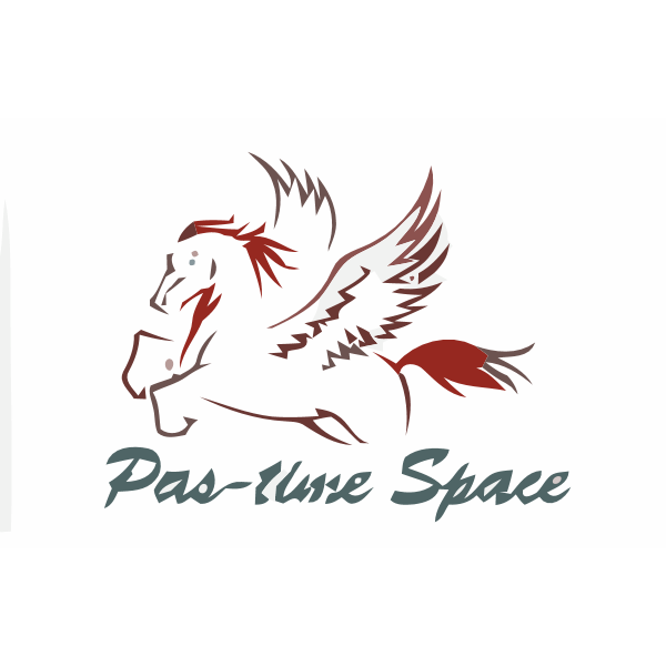 Pas-time Space Logo