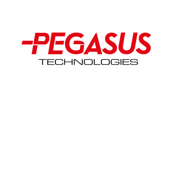 Pegasus Bilgisayar Logo