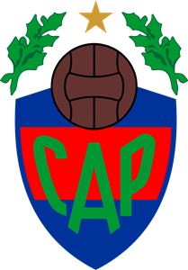 Pellegrini de Salta Logo