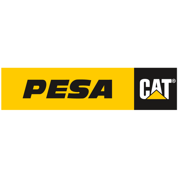 PESA Logo ,Logo , icon , SVG PESA Logo