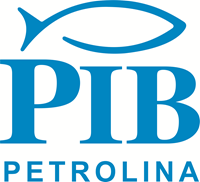 PIB – Primeira Igreja Batista de Petrolina – PE Logo ,Logo , icon , SVG PIB – Primeira Igreja Batista de Petrolina – PE Logo