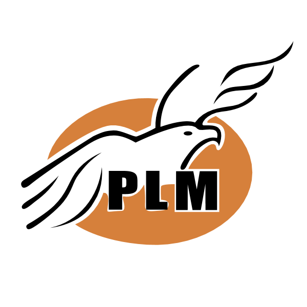 PLM Mexico Politica