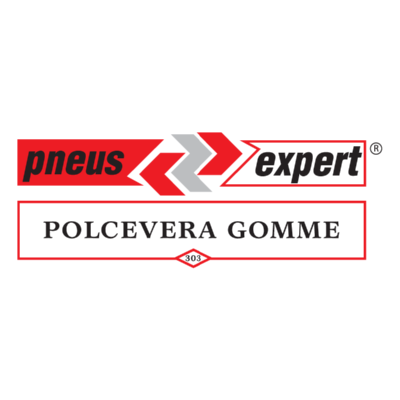 Pneus Expert Logo ,Logo , icon , SVG Pneus Expert Logo