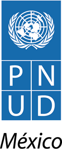PNUD Logo ,Logo , icon , SVG PNUD Logo