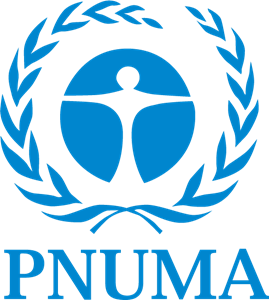 PNUMA Logo