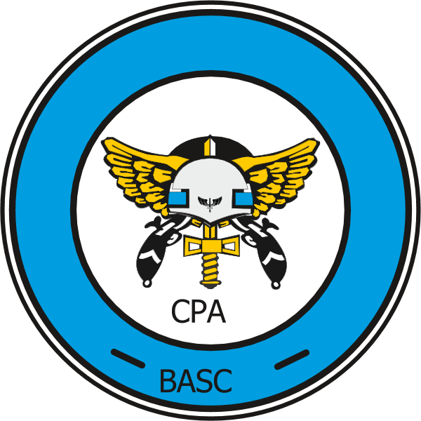 POLICIA DA AERONAUTICA Logo