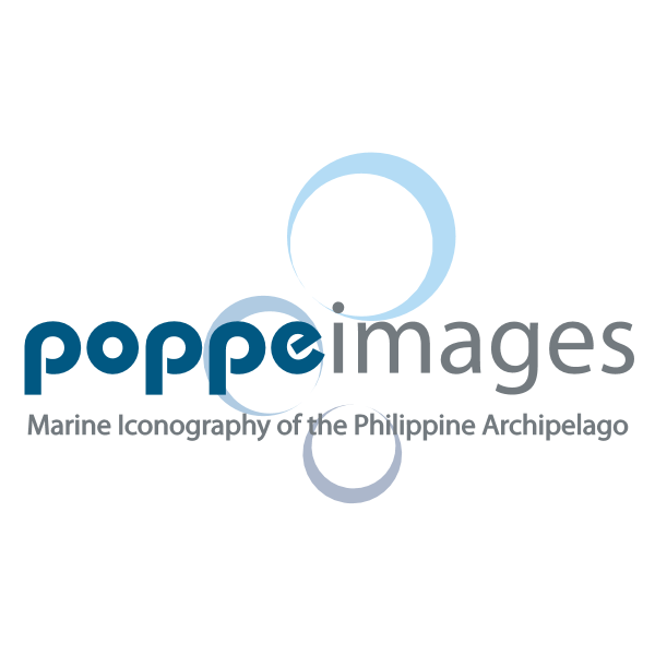 Poppeimages Logo