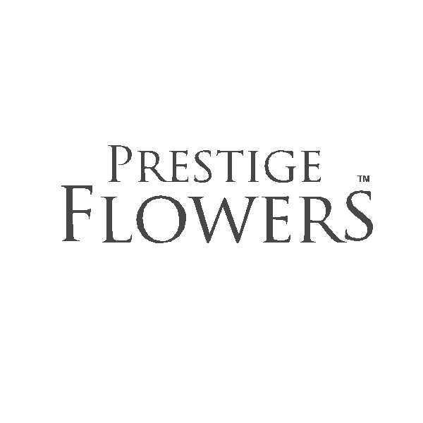 Prestige Flowers Logo ,Logo , icon , SVG Prestige Flowers Logo