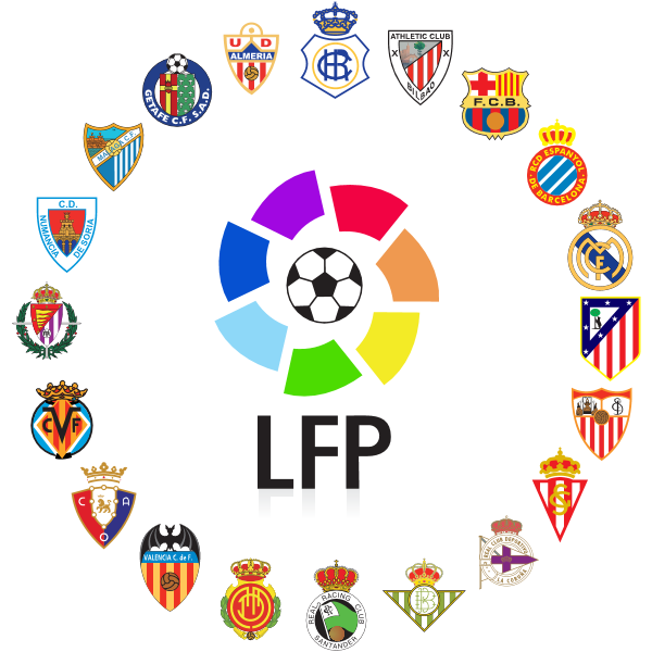 Primera Division 2008 Logo