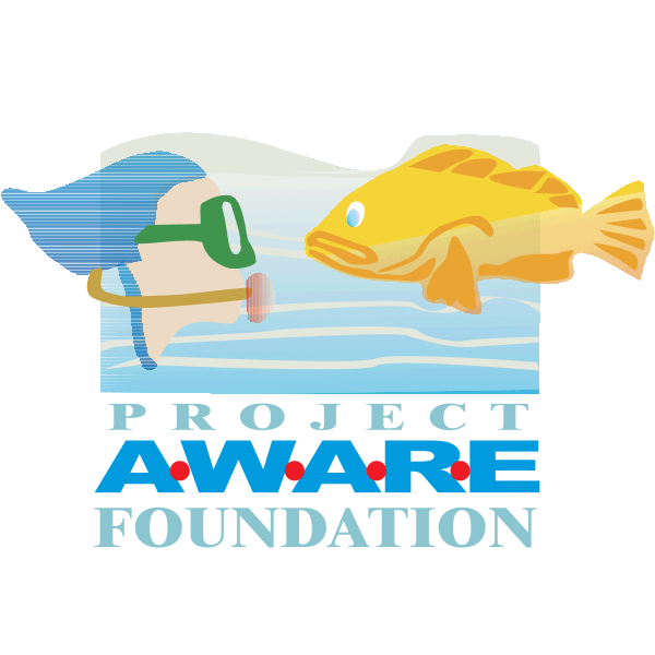 project aware foundation Logo ,Logo , icon , SVG project aware foundation Logo