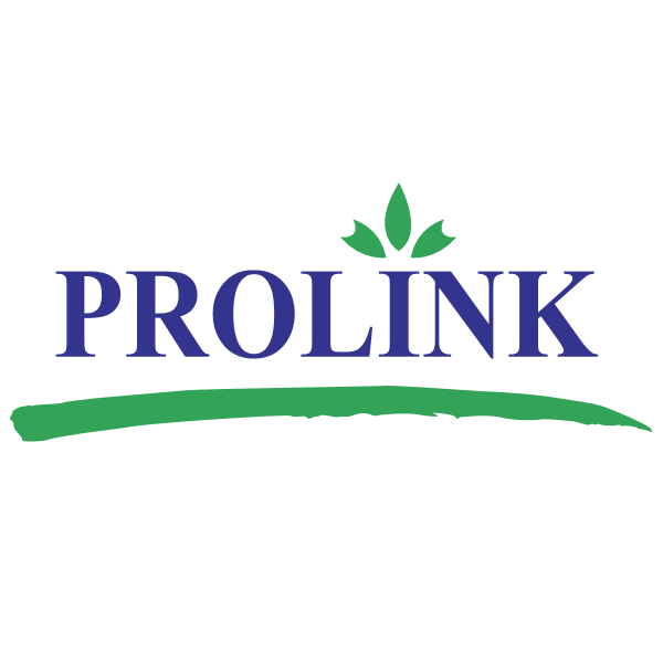 Prolink Development ,Logo , icon , SVG Prolink Development