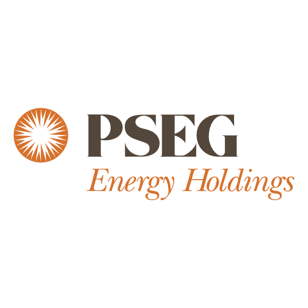 PSEG Energy Holding