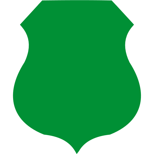 PSSB Bireuen Logo