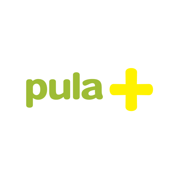 Pula Info Logo ,Logo , icon , SVG Pula Info Logo