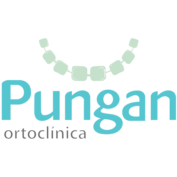 Pungan Ortoclínica Logo