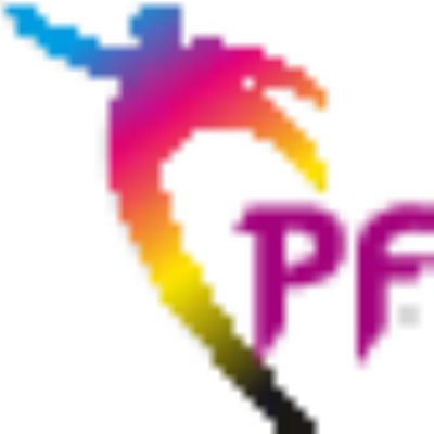 Punjab Flex Logo