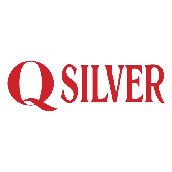 Q Silver ,Logo , icon , SVG Q Silver