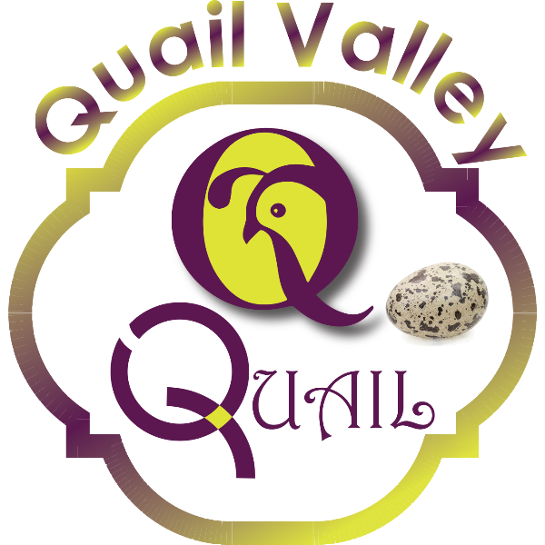 Quail Valley Logo ,Logo , icon , SVG Quail Valley Logo