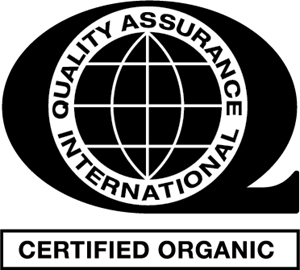 Quality Assurance International Logo ,Logo , icon , SVG Quality Assurance International Logo