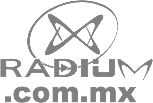 Radium Telematica Logo