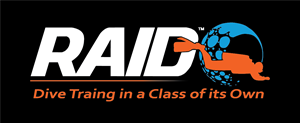 RAID International Logo